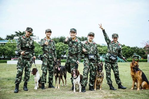 奇兵神犬收官,姜潮发文感慨,何捷和张馨予夫妇的评论亮了