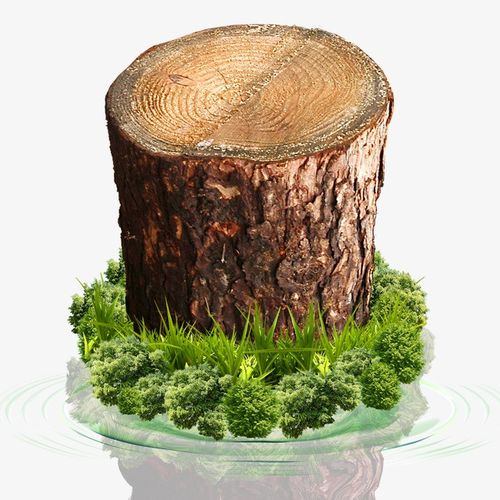 搜图中国提供独家原创树桩下载,此素材图片已被下载140次,被收藏25次.