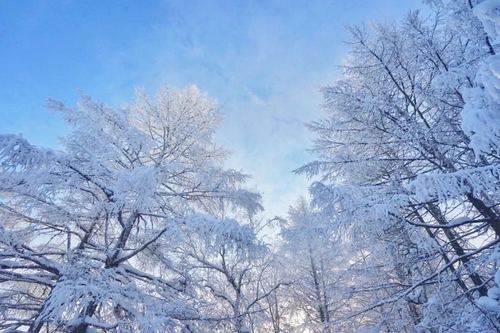 白雪皑皑的大地,共同构成一座无暇的人间仙境.