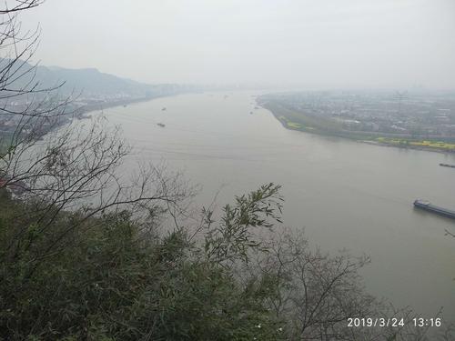 西塞山前白鹭飞