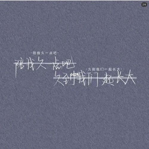 陪伴_素材_素材_文字素材