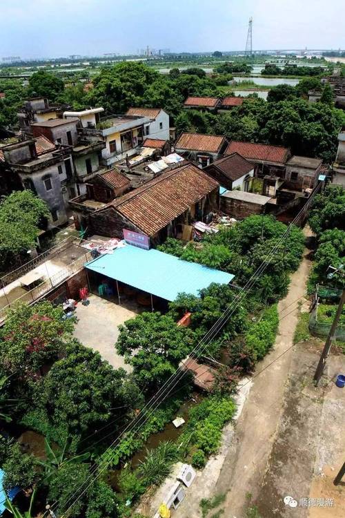容桂 小黄圃 大汕岛