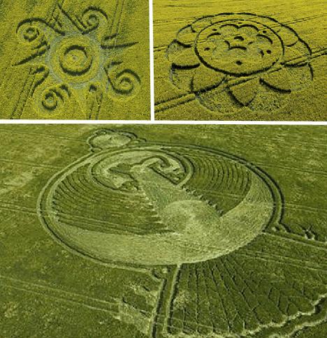 麦田怪圈调查:恶作剧还是外星人杰作