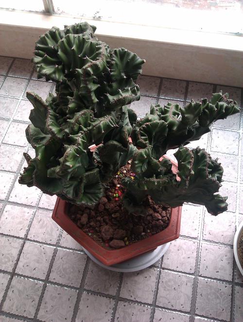 蛋疼了好久··谢谢了