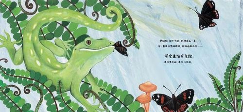 绘本|壁虎,壁虎,快快跑