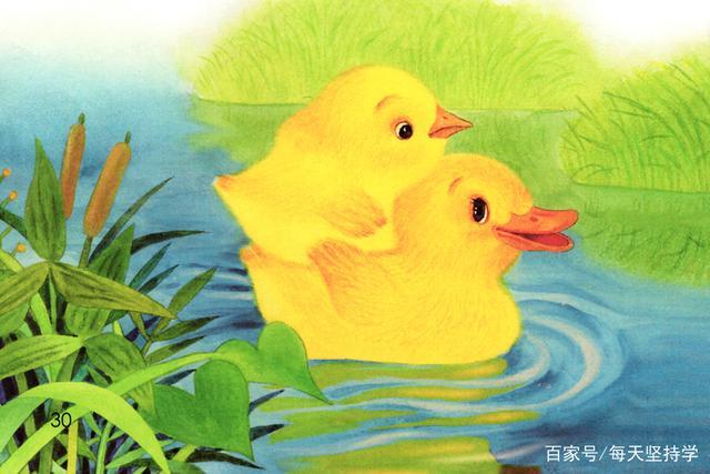 课文5 小公鸡和小鸭子 补充练习