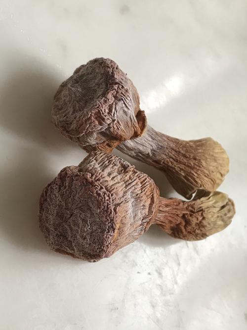 想问一下,这样的干松茸是不是开始发霉了?