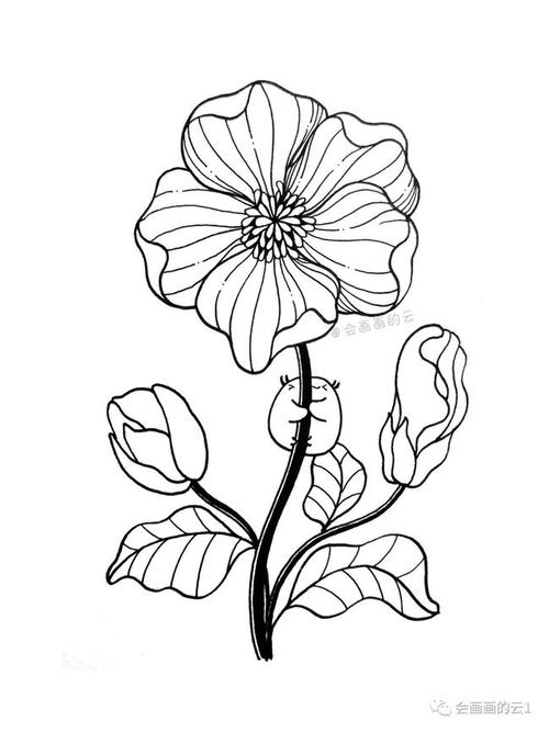 手把手教你用线条如何画一朵花,两支中性笔就可以,简单易学!
