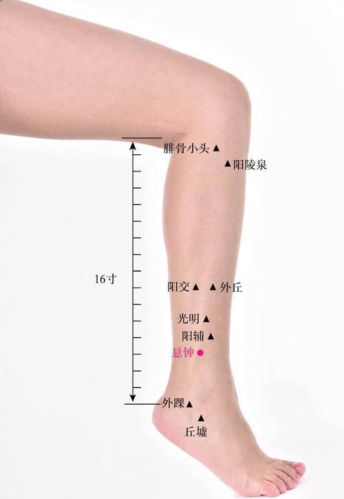 位置        在小腿外侧,当外踝尖上3寸,腓骨前缘.        3.