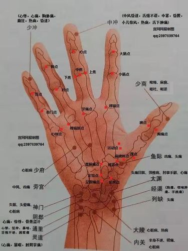 手部穴位全息全身图解.