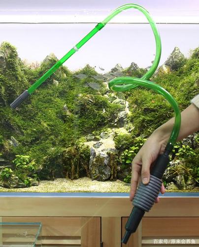 鱼缸绿水,黄水的常见原因及解决办法