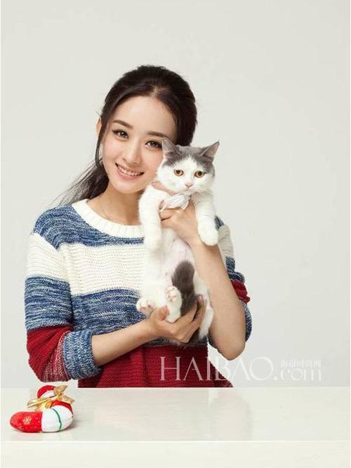 赵丽颖喜欢猫吗