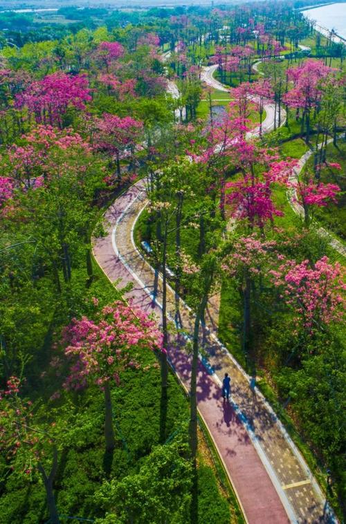 被誉为花园城市的珠海,到底有多美!_中国