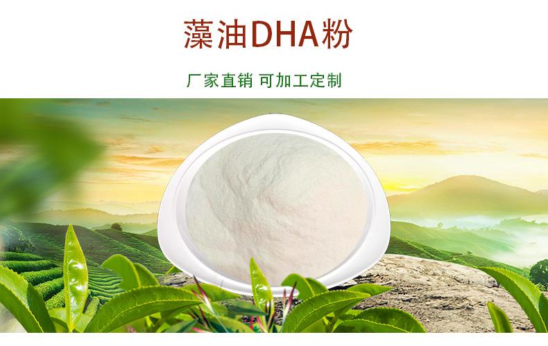 dha藻油粉10含量藻油dha微囊粉脑黄金6217545量大价优
