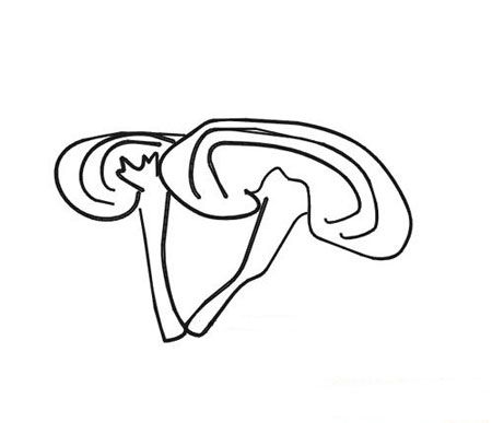 简单的灵芝简笔画的画法