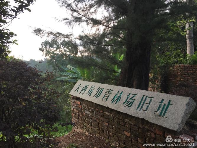 路上看到西坑林场的知青点