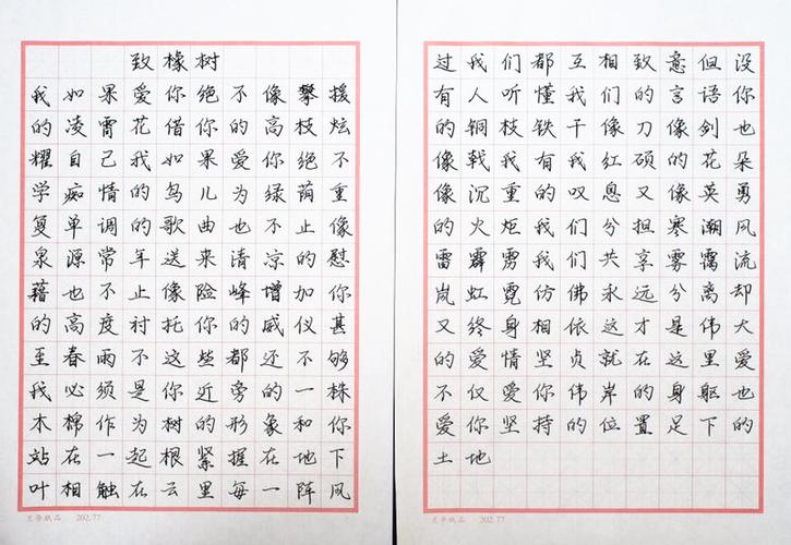 舒婷致橡树钢笔字笔友习作欣赏