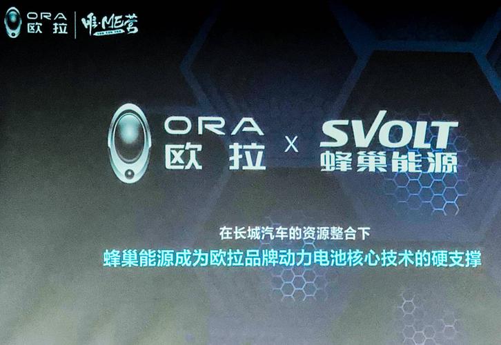 长城展示蜂巢能源,欧拉r2有望搭载叠片电池
