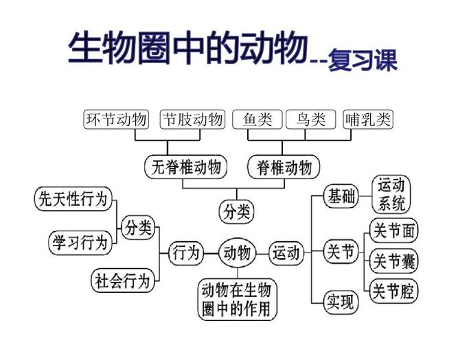 生物圈中的动物复习课