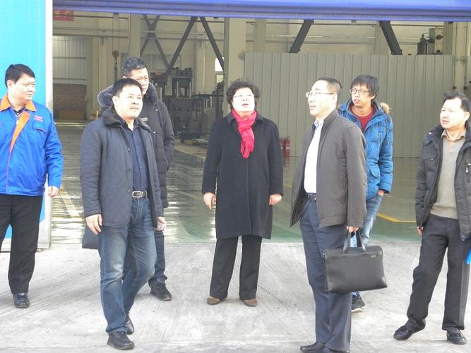 天津市北辰区副区长赵久占,科技局局长魏贺明来厂莅临