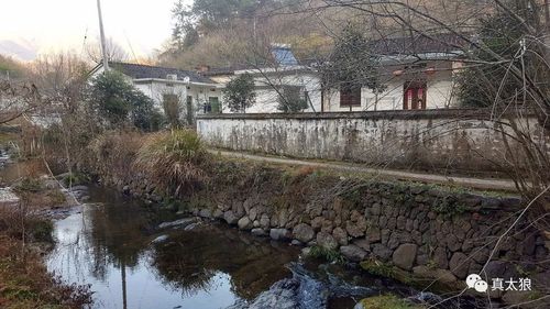 泾县一个小山村 竟是宣纸世家! 走进小岭许湾