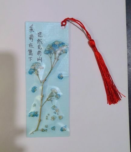 自己做的小书签_书签_满天星_自制书签_兴趣爱好_手工