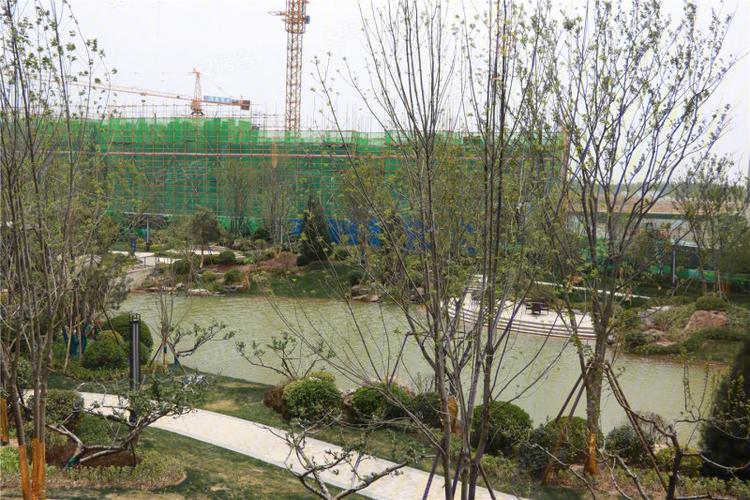 济南楼盘 商河楼盘 北纬37度