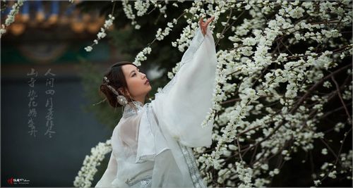 【古装人像】梅香◇香雪佳人