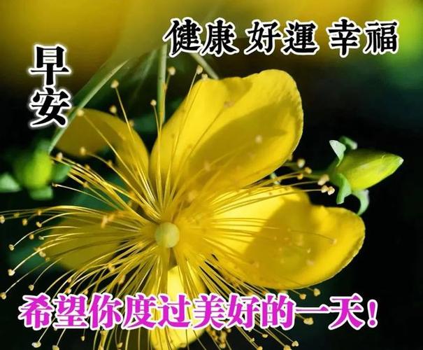 2021年8月5日非常漂亮早安问候祝福语动画表情动态图片温馨早安问候语