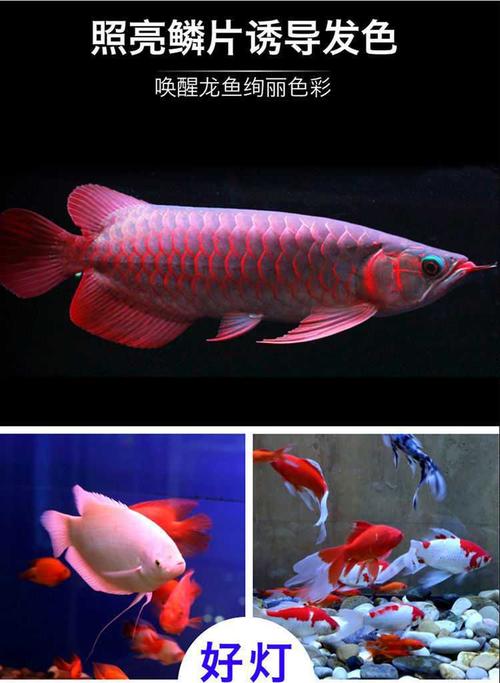 鱼缸灯led七彩变色水族箱照明灯潜水龙鱼灯增艳led水灯