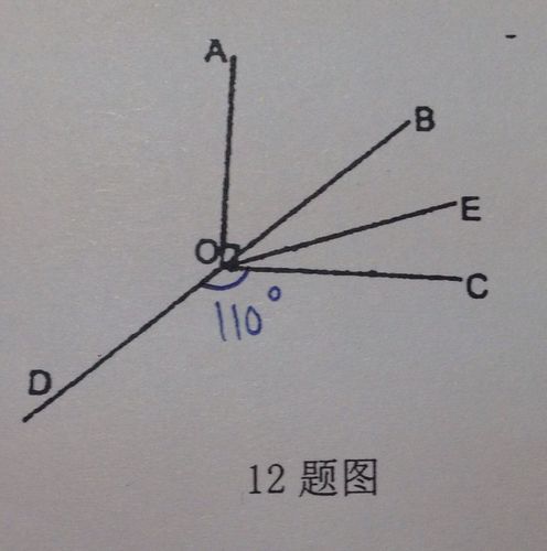 如图已知ao和oc组成直角,直线bd过点o,且角cod=110度,oe平分角boc,则