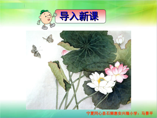 三年级下册语文——3 荷花.ppt