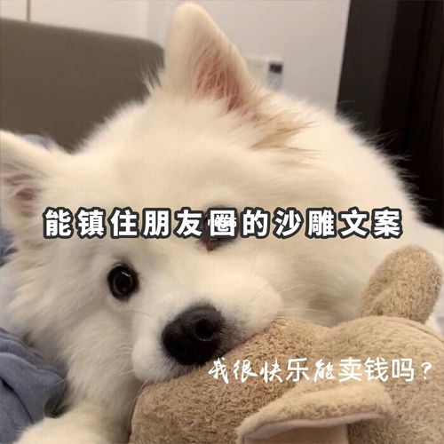 一发出去就能镇住朋友圈的沙雕文案_文案_朋友圈_沙雕