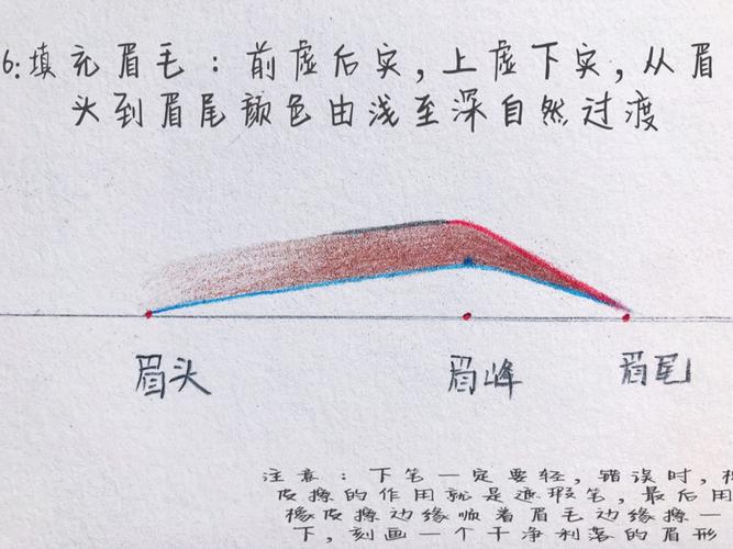 如何画好眉毛——纸上画眉(一)_眉毛_画眉_化妆师_眉形_美妆_彩妆
