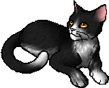 高星(《猫武士》人物)_百度百科