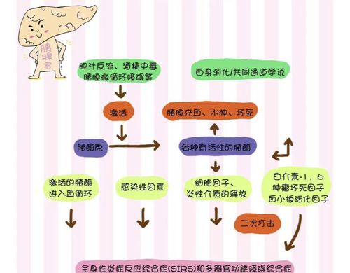 急性胰腺炎～胰腺的自我消化