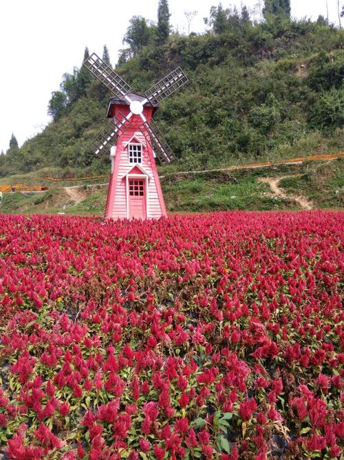 游涪洋镇珍珠溪百花谷有感