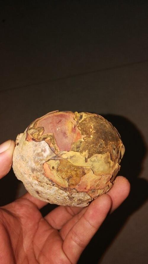 这个是蛋化石吗?