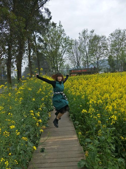 崇州万亩油菜花基地和大邑县十里桃花