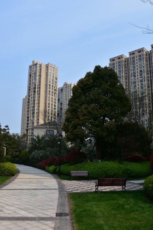 瑞安市外滩印象是我们的家园