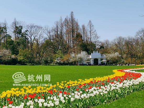 杭州太子湾公园每天预约人数调整为1万5千人最好这两个时间段来