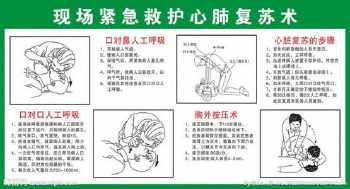 三年级心肺复苏手抄报 三年级手抄报