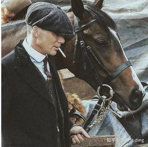 有汤米谢尔比牵马的图片吗?