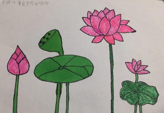 年级《小池》教学总结 写美篇   还能用自己动听声音的声音来吟诵夏天