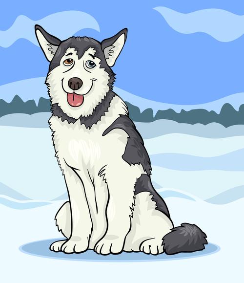 哈士奇犬,狗,卡通,插画,有趣,西伯利亚,阿拉斯加雪橇犬,蓝天,冬天