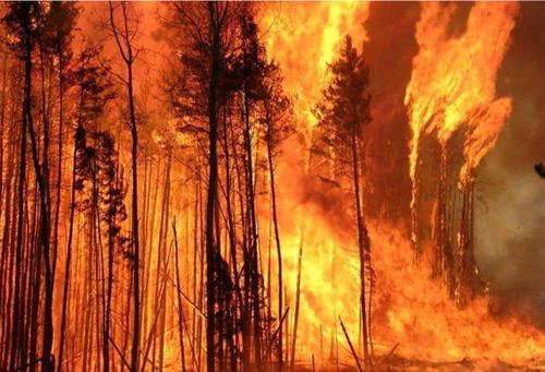 四川凉山大火又致18名消防员牺牲!哪些因素易引发森林火灾?