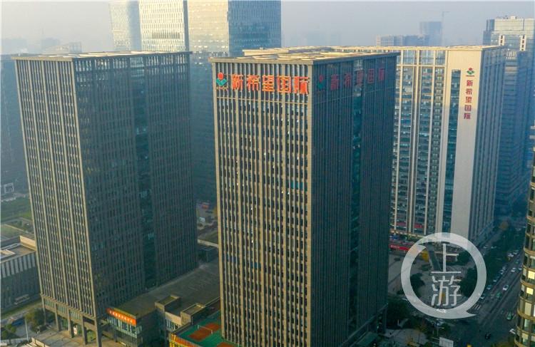2-1 新希望国际大楼位于成都天府新区,是新希望地产代表作之一.jpg