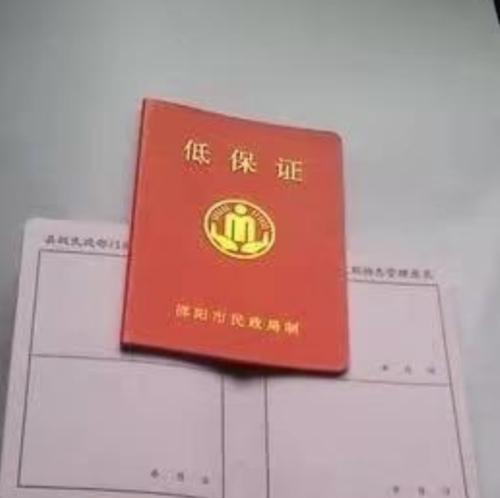 广东阳江一镇政府合同工说帮人办低保证骗取老人10万元