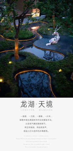 传承生活中的礼遇 | 唐山 · 龙湖 · 天境