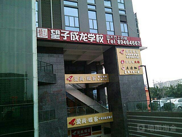 望子成龙学校(锦华路二段)